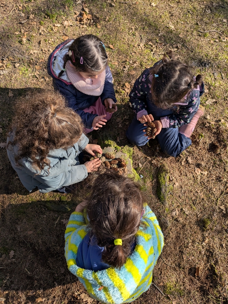 Foto vier Kindergartenkinder sammeln Zapfen