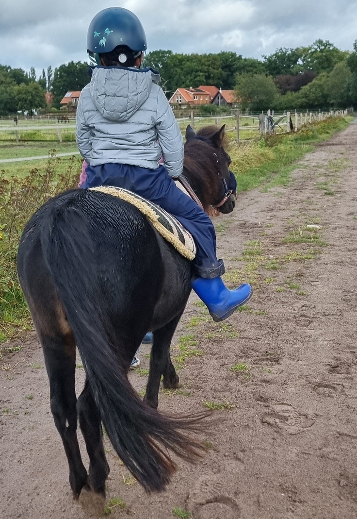 Foto eines Kindergartenkindes auf einem Pony