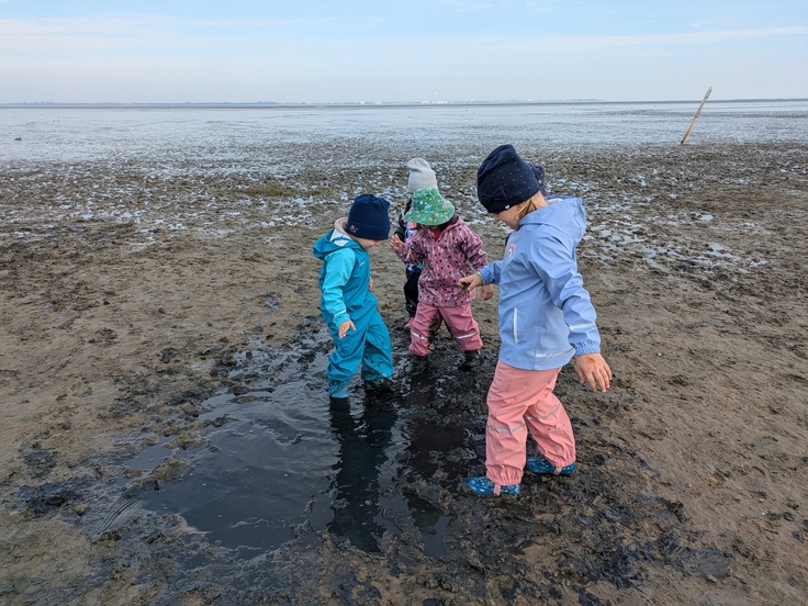 Foto dreier Kindergartenkinder im Watt