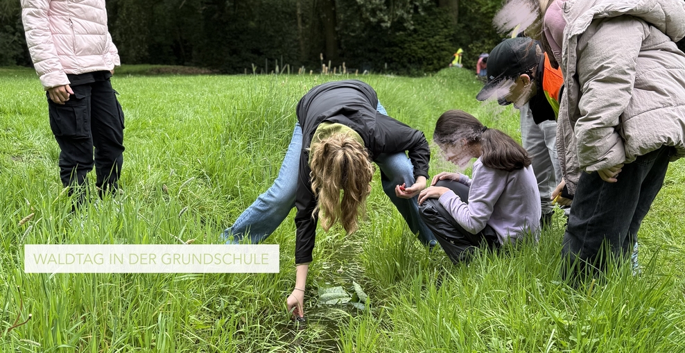 Foto Kinder mit Lehrerin im Wald Beobachtung von Kaulquappen
